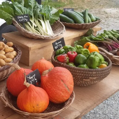 Les jardins de La Cueille stand marché 1
