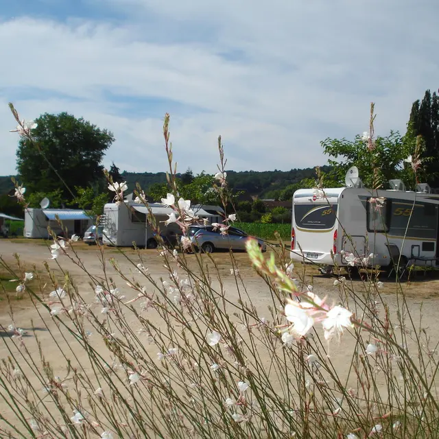 MCD Camping Cars
