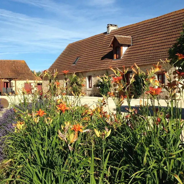 Mapellous pour brochure