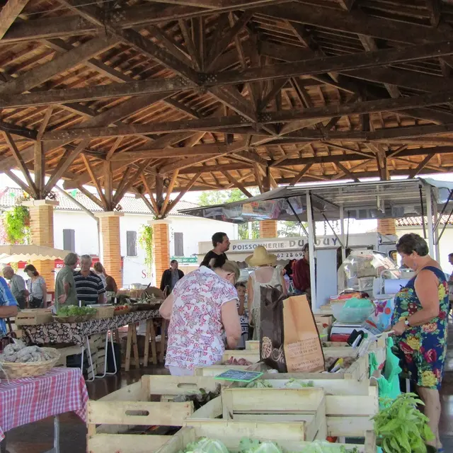 Marché Montfort - été 2016