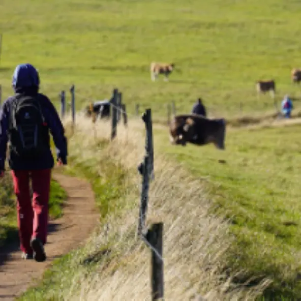 Marche téléthon cantonal