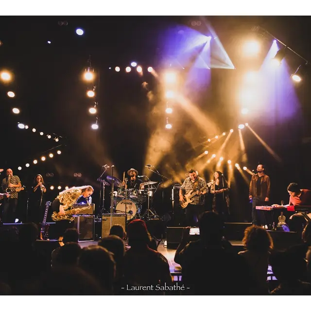 Miss Bee & The Bullfrogs_ Big Family