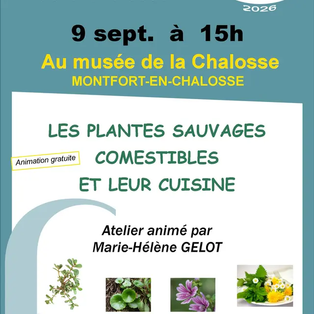 Musée plantes sauvages 9 SEPT