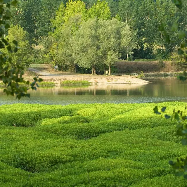 Lacs de Nerbis - 1
