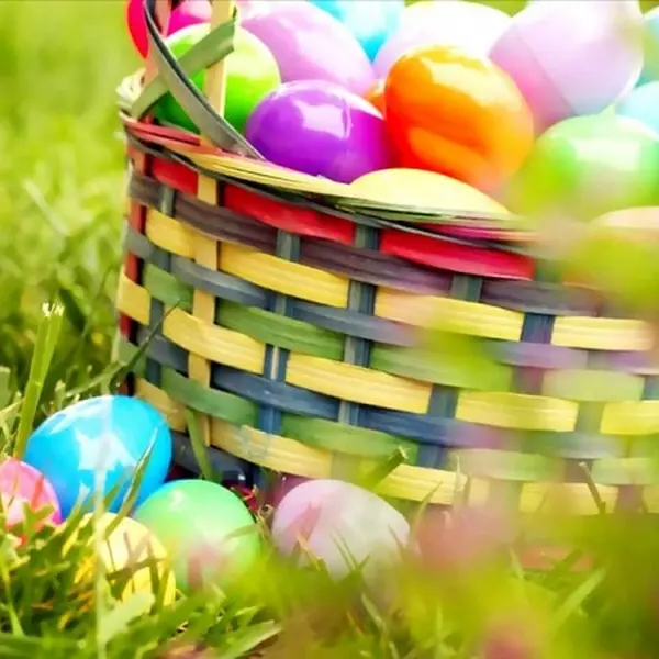 P1244656-600x460 [800x600]