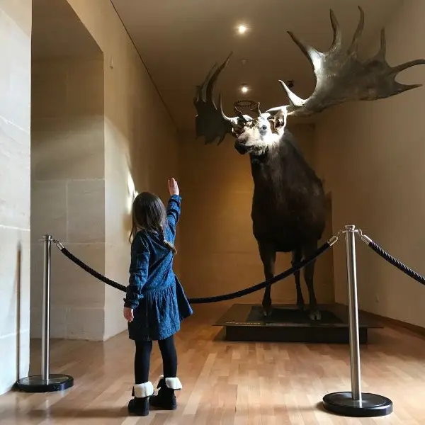PCU_Musée National de Préhistoire-Enfant_Les Eyzies_février 2018©A.Borderie