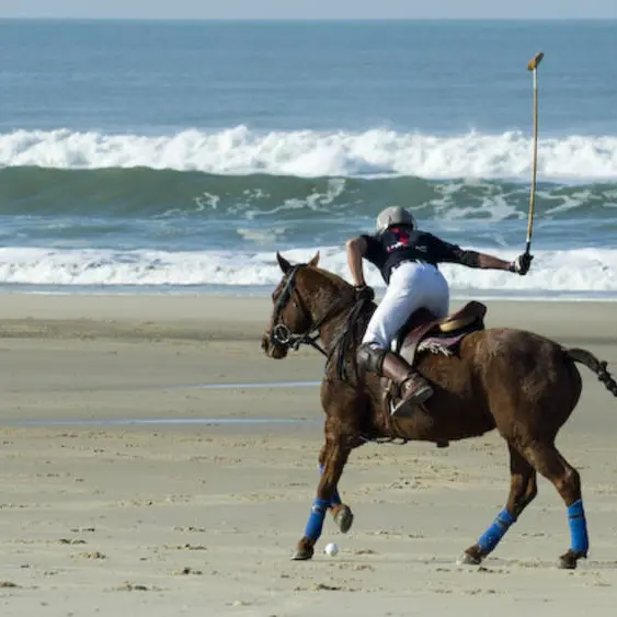 POLO 2
