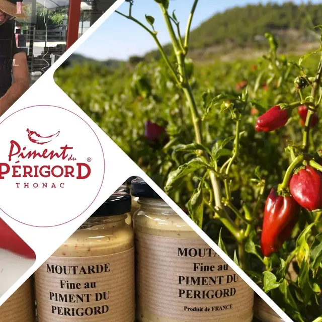 Couv FB Insta PimPeri - 1