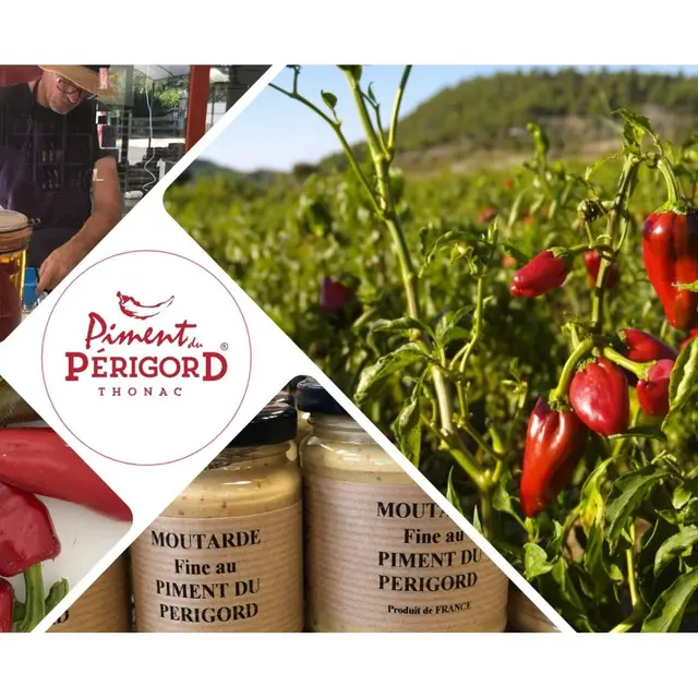 Blanc Bordé Photo Paysage Voyage Carte - 1