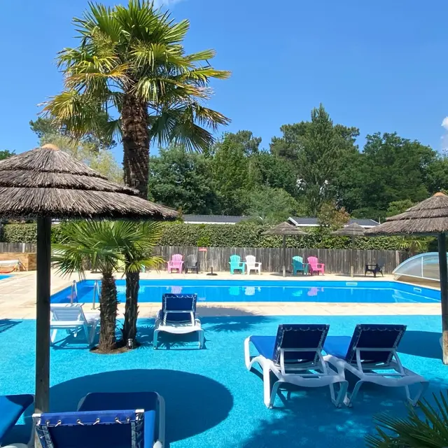 Piscine - Camping Les Ecureuils - Bassin Arcachon (1) - web