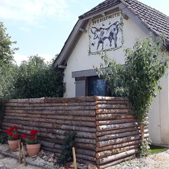 Préhistogîte appartement