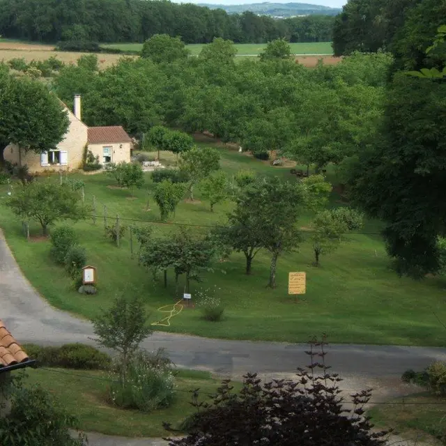 Raymonde Treille