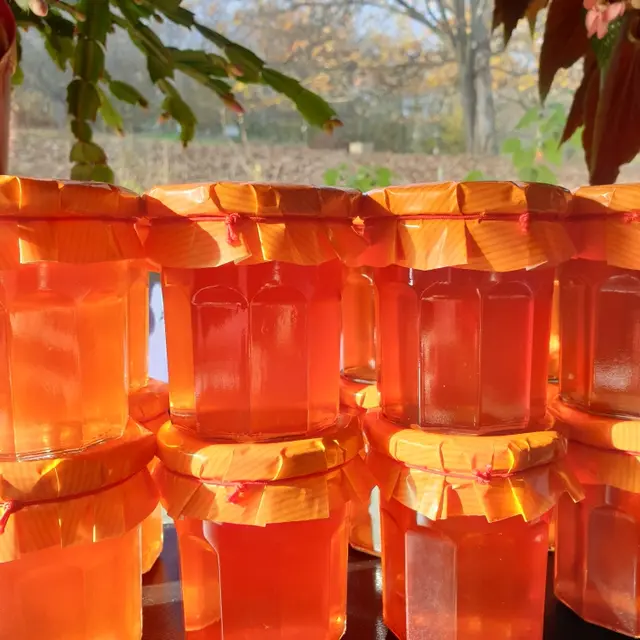 Resized_20211112_1521321