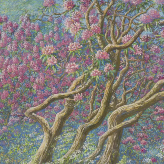 SALON HABITAT du Bergeracois