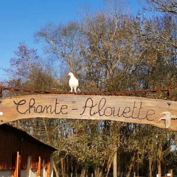 restaurant rotisserie chante alouette Etauliers 800x600