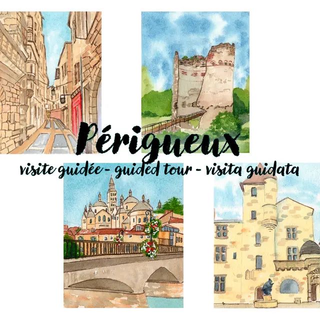 Site internet V2 (1)