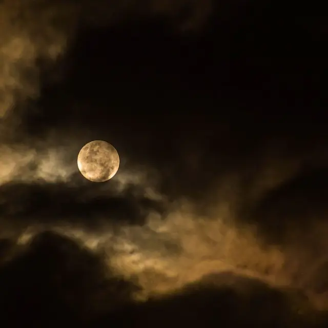 Sortie nocturne