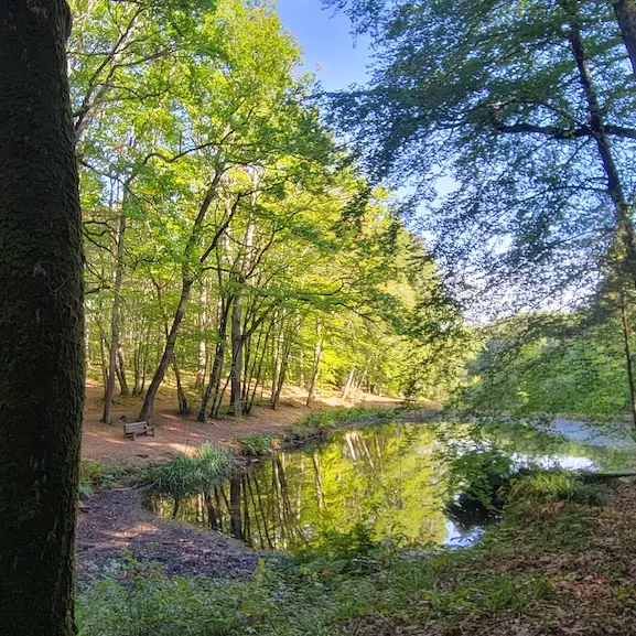 Terra aventura Forêt des Loges