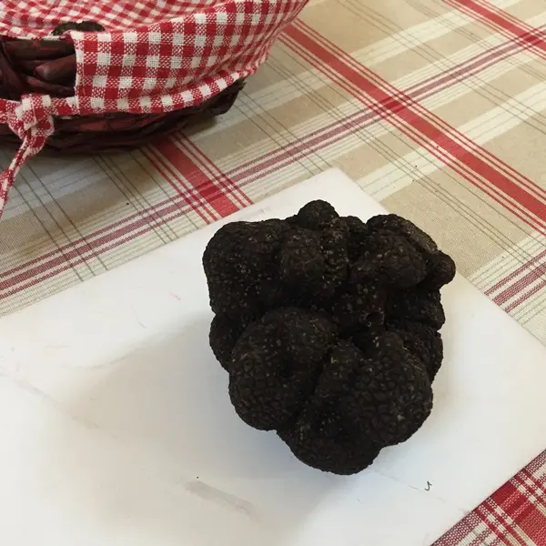 Truffes 5 OTPDB