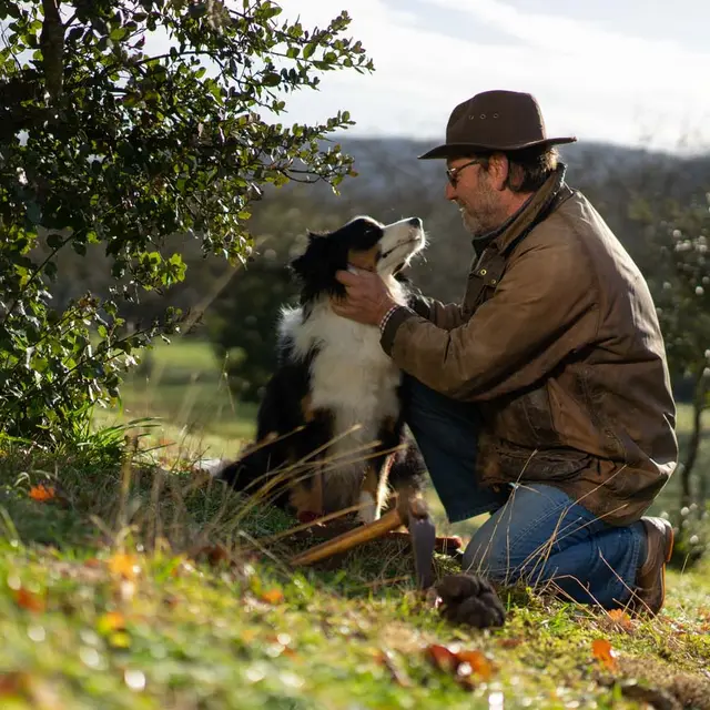 Domaine de Vielcroze -Truffière 1