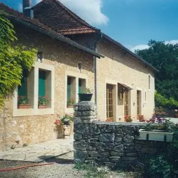 Vieux chêne