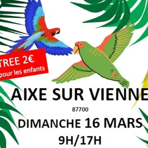 Visuel_Bourse-aux-oiseaux