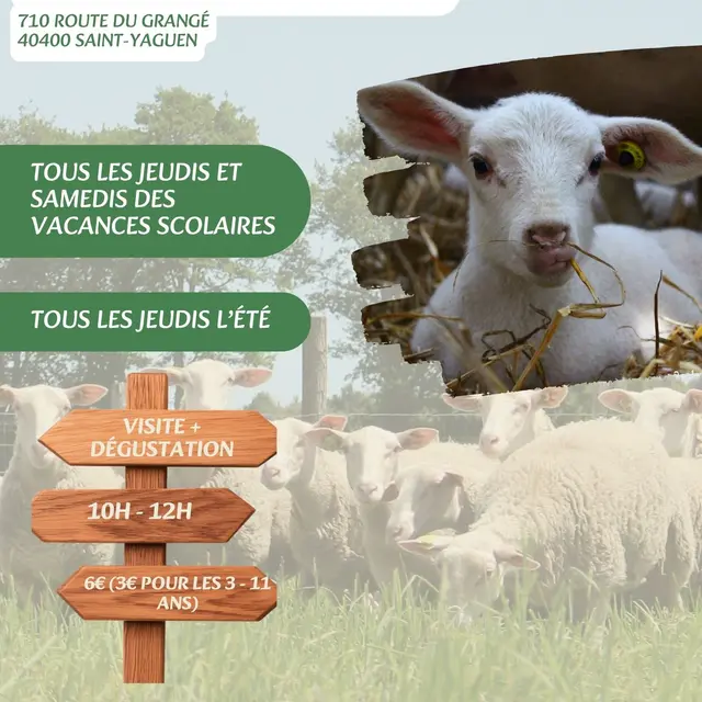 Visites, balades de l'OT - Visite_Bergerie