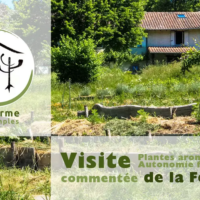Visite de la ferme