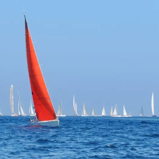 Voile 3.png