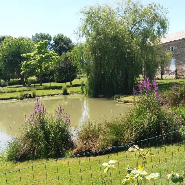 Vue extérieure sur l'étang