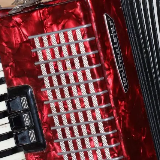 accordion©Jutta Wichelmann de Pixabay