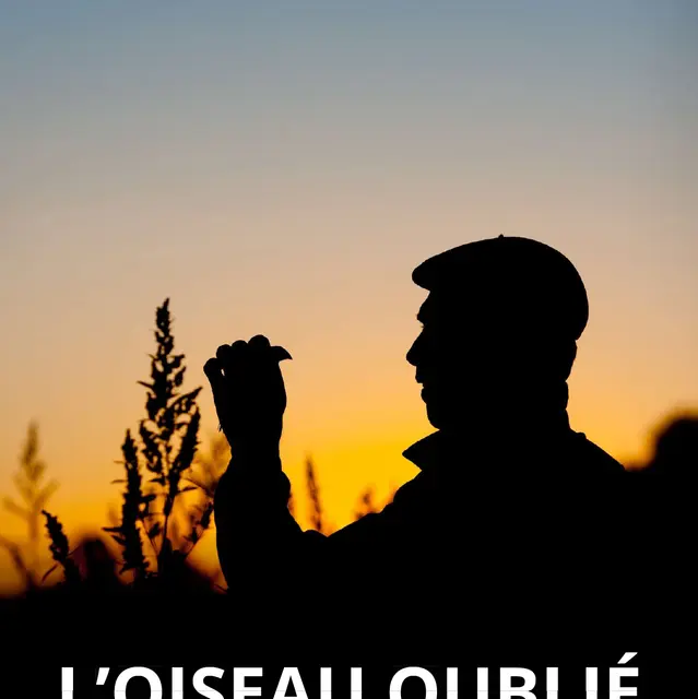 affiche-oiseau-oublie