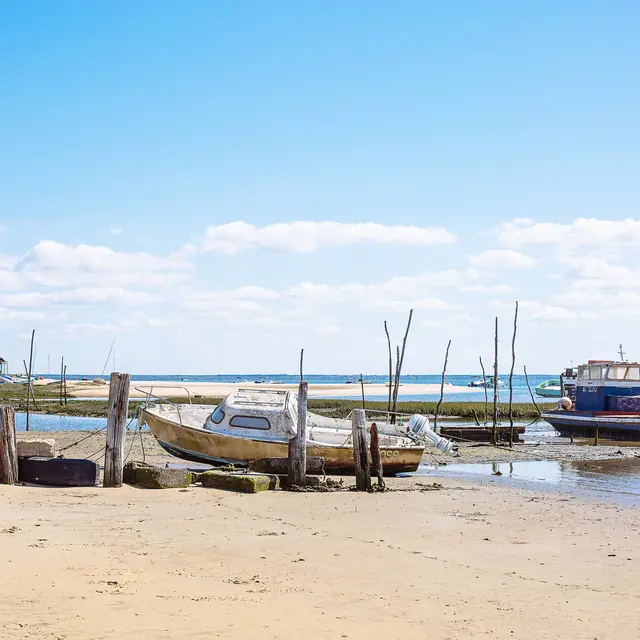 aiguillon-arcachon-2