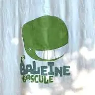 baleine à bascule