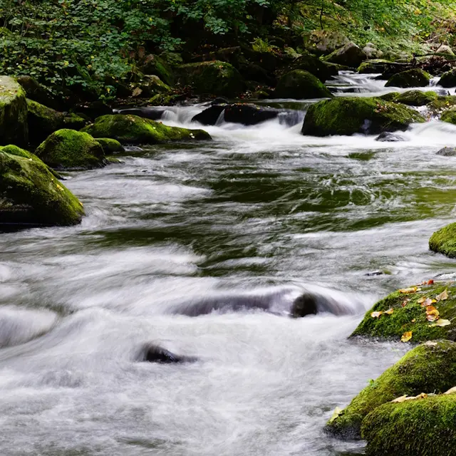 Rivière