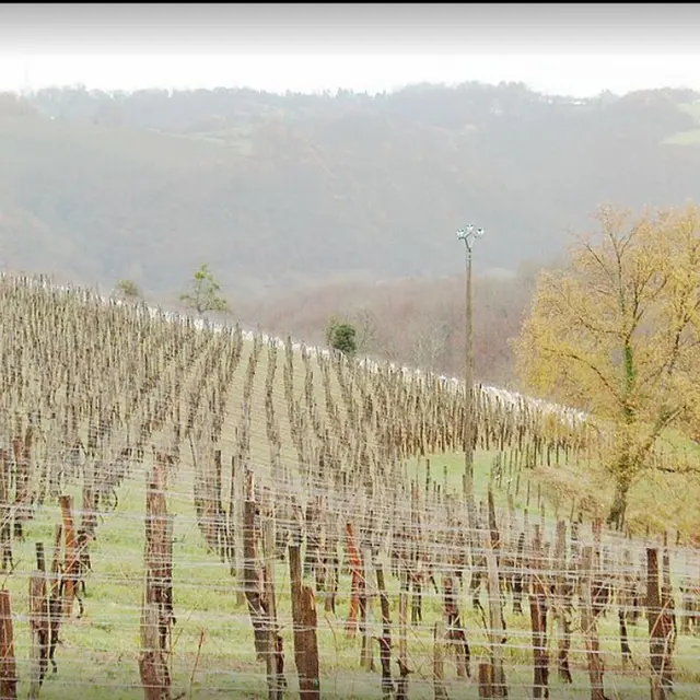 Domaine Bousquet - St Faust - l'hiver