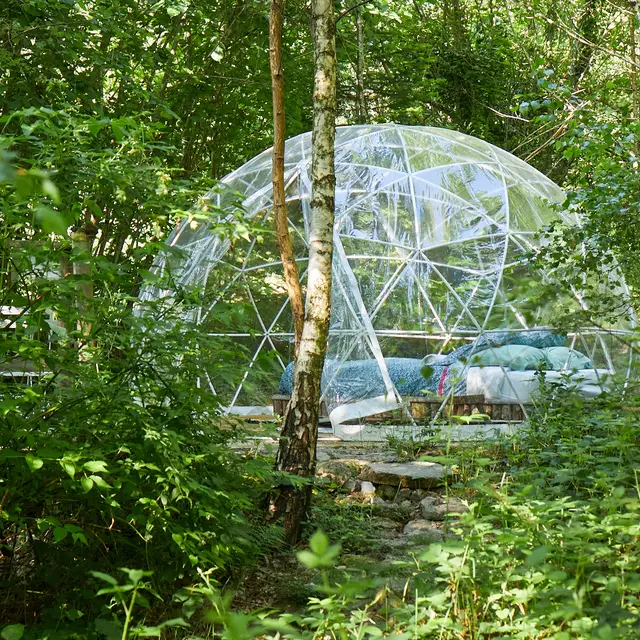 Bulle - Forêt de Chataîgnier