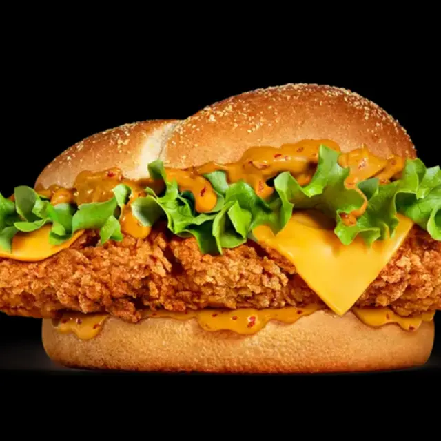 Restaurant Burger King -  Lescar - burger