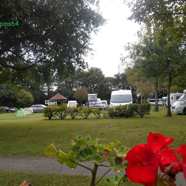 Camping les Sapins - Ousse - Vue d'ensemble