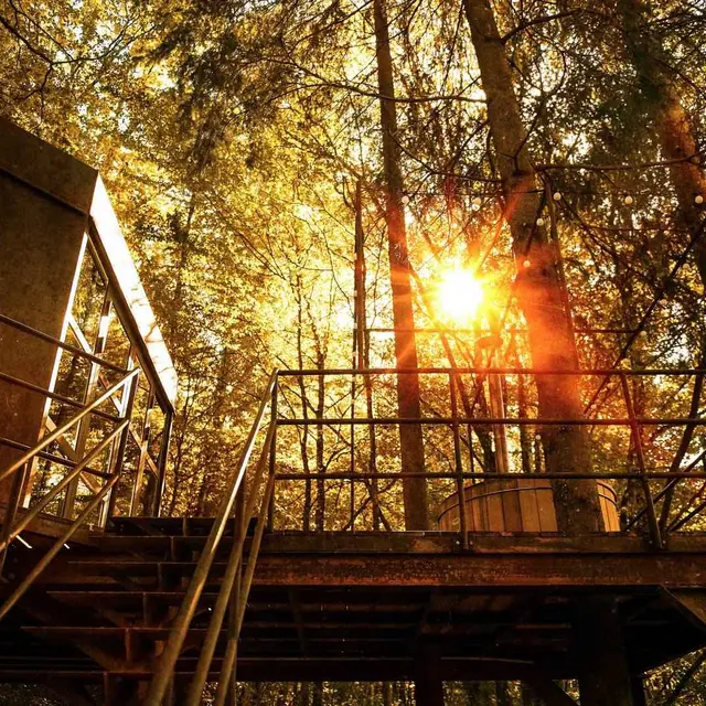 cabane-metal-spa