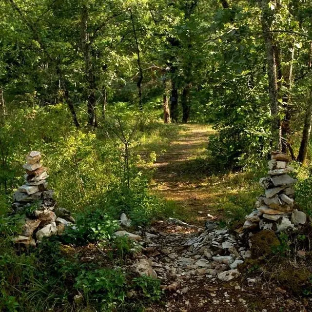 causse-cabane-chemin-mur