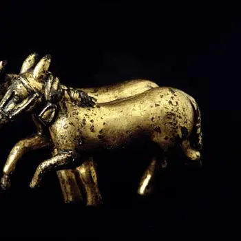 chevaux