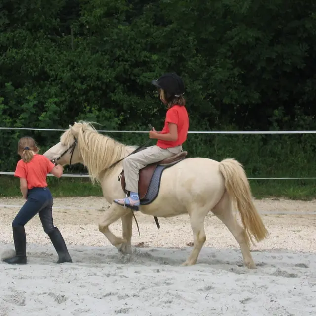 Equitation