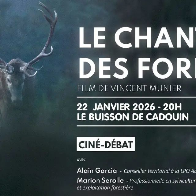 cine debat le buisson de cadouin