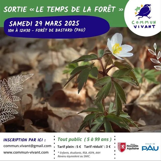 commun_vivant_le_temps_de_la_foret