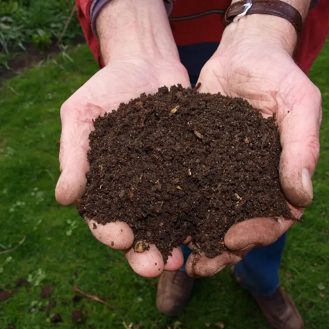 compost
