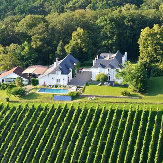 Clos Mirabel - Jurançon - vue sur les vignes