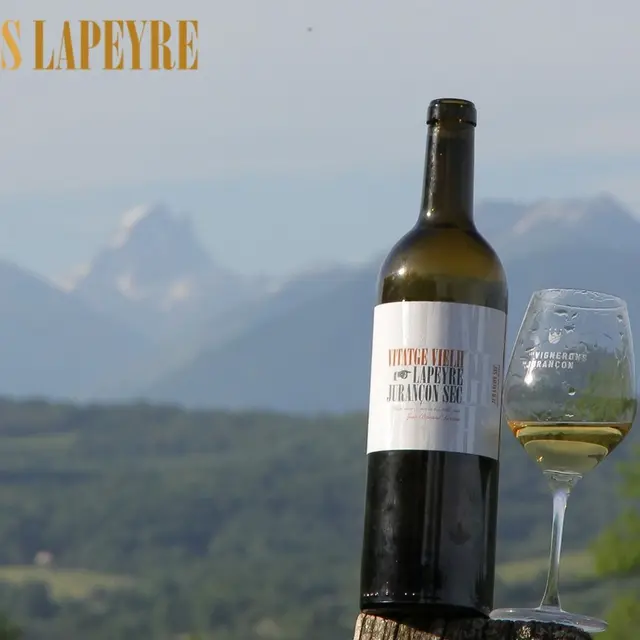 Clos Lapeyre - vins de Jurançon - oenotourisme - Vallée d'Ossau - santat