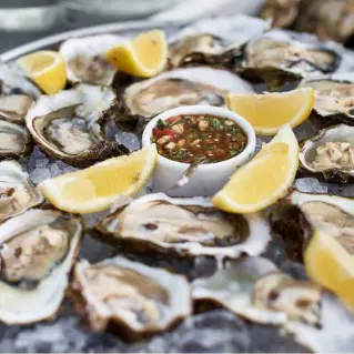 Degustation huitres
