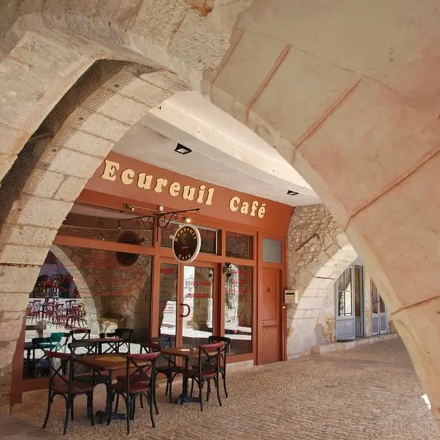 ecureil cafe 1